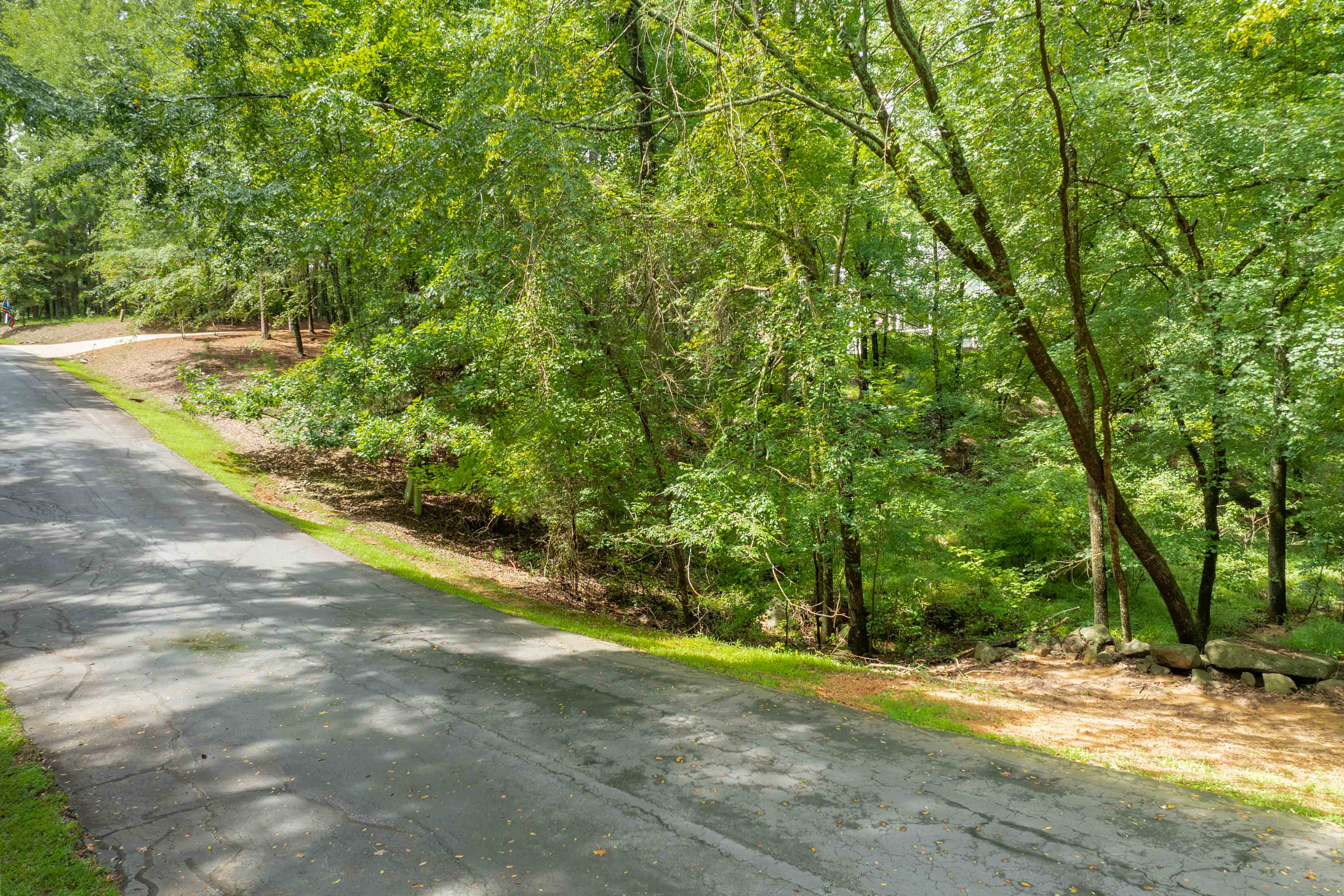 1161 Shoulder Bone Circle image 4